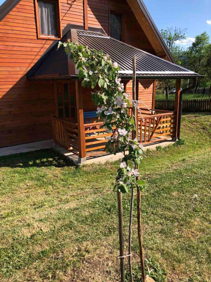 Milekic * Mokra Gora